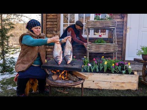 Making a Shelf for Flowers from Branches and Cooking Asp Fish on Stone Grill