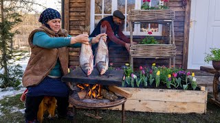 Making a Shelf for Flowers from Branches and Cooking Asp Fish on Stone Grill