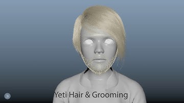 Toon Character - Yeti Hair and Grooming