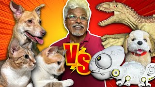 Kutties 🐶 VS RC Animal Toys 🤖| Super Fun Pet Vlog! 😂💯