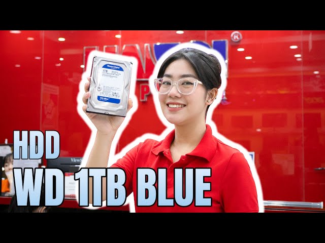 Trên Tay Và Đánh Giá Nhanh Ổ Cứng HDD WD 1TB Blue