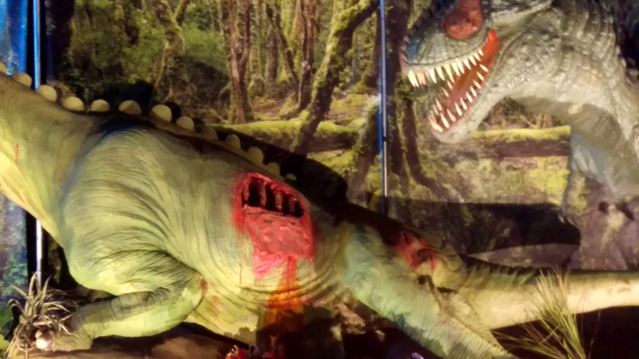 Jurassic quest Sonoma 12-17-2016