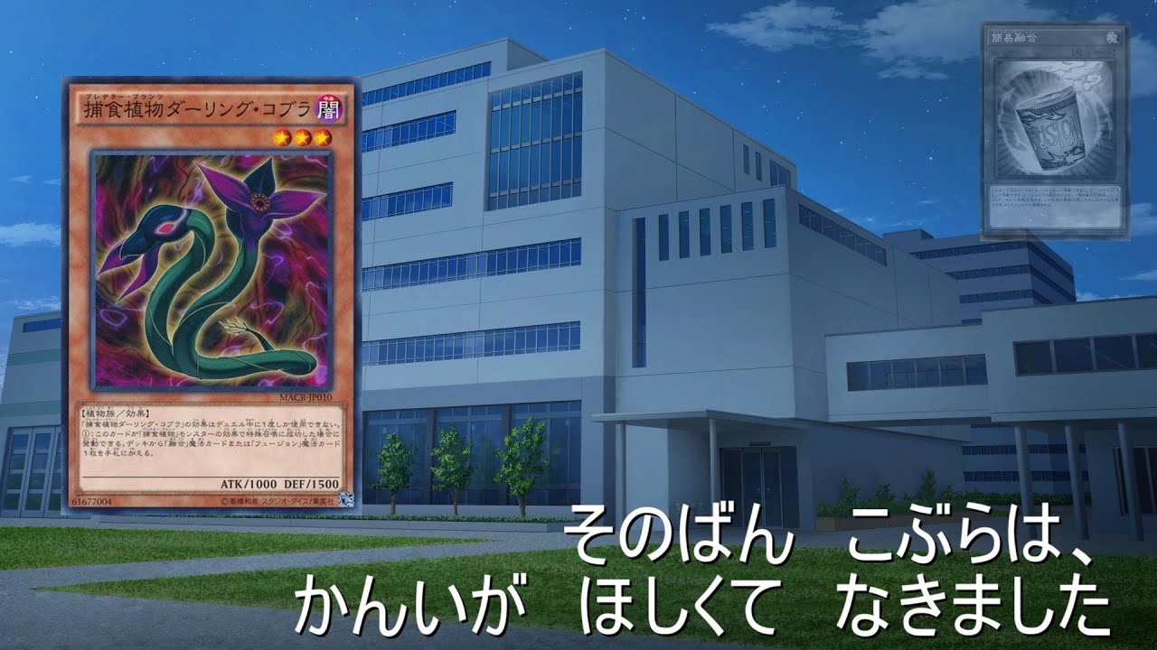 【更新版】新規入り捕食植物の現状の構築と展開ルートを残しておく【#遊戯王】【プレデタープランツ】