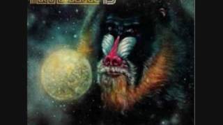 MANDRILL "Here today gone tomorrow" (1972) chords