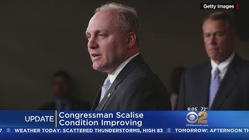 Congressman Steve Scalise