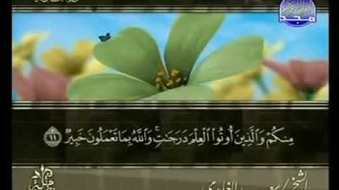 سورة المجادله كاملة الشيخ سعد الغامدي