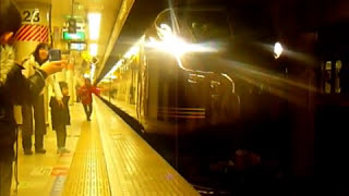 E６５５系なごみ東京駅発車