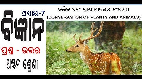 Class 8 science chapter 7 Question & Answer (Conservation of Plants and Animals) odia