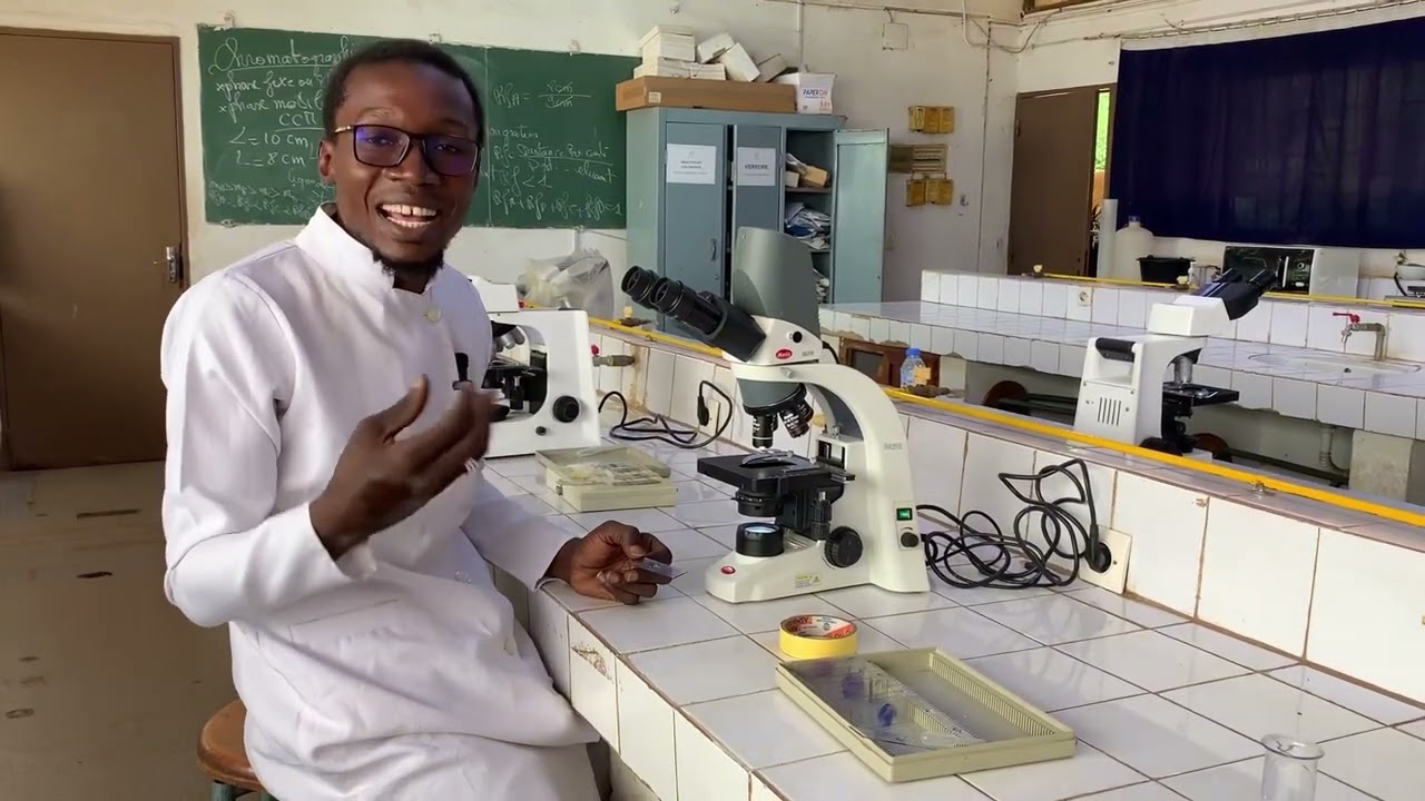 Comment se présentent les gametocytes du plasmodium falciparum au microscope 