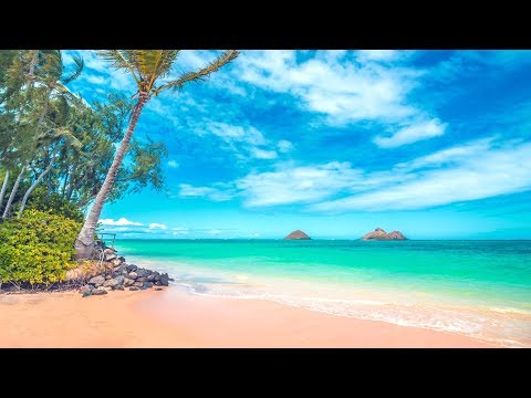 best-hawaii-hotels:-your-top-10-best-hotels-in-hawaii