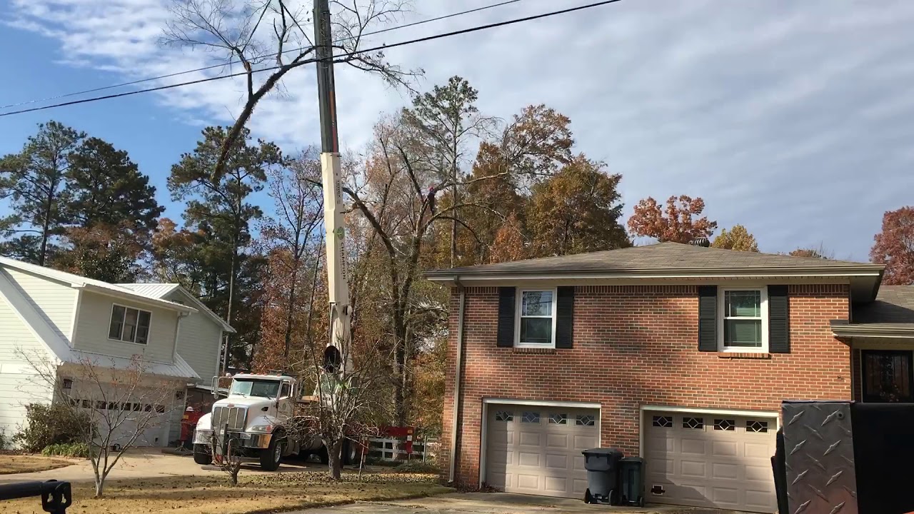 Tree removal with crane - YouTube