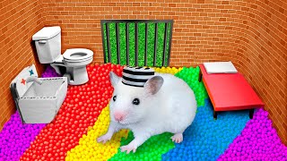 🐹 Hamster Escapes the Rainbow Prison [OBSTACLE COURSE]
