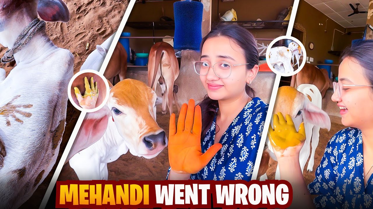 Sab kuch gadbad ho gaya… Mehendi bhi aur Gaay bhi! 🤣 