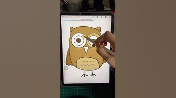 How to draw an owl 🦉 #art #digitaldraw #drawingtutorial #procreate