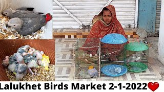 Biggest Birds Market Lalukhet Karachi Reasonable All Bird