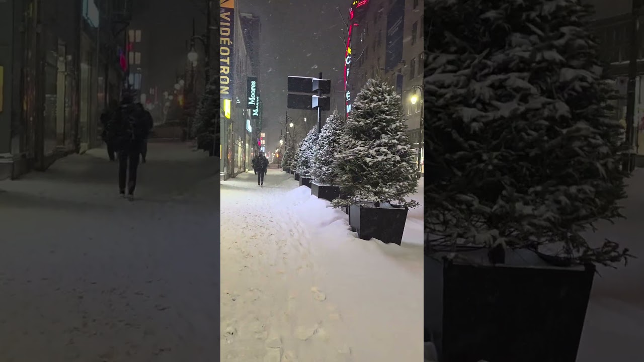 Snowfall City ❄️❄️🇨🇦 #youtubeshorts #lifeisbutadream #snow #montr&eacute;al
