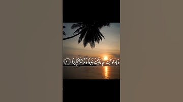 سوره الإنسان بصوت الشيخ(محمد اللحيدان)❤️