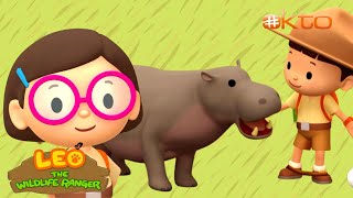 🆘 HELP the PGYMY HIPPO 🦛 out of QUICKSAND! | Leo the Wildlife Ranger | Mini-Ep | @mediacorpokto