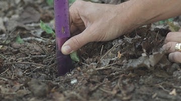 College of Natural Resources | Environmental Science