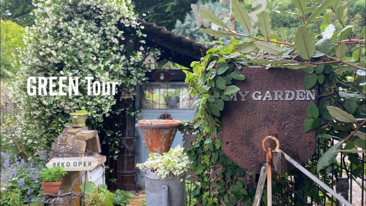 テイカカズラの甘い香りと可憐なオルレアに包まれる涼やかなホワイトガーデンはレンガとブロカントと雑貨のレイアウトがお洒落で素敵なお庭！ | Neko |  園芸/ガーデニング店巡り | 兵庫/藤原台