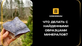 видео: ЧТО ДЕЛАТЬ С НАЙДЕННЫМИ ОБРАЗЦАМИ МИНЕРАЛОВ? картинка: ЧТО ДЕЛАТЬ С НАЙДЕННЫМИ ОБРАЗЦАМИ МИНЕРАЛОВ?