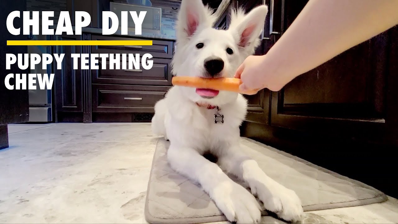 Diy Puppy Teething Chew Toy The