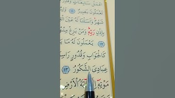 سورة سبأ الأية 13 إلى 14 القارئ سعد الغامدي