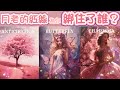 五月塔羅占卜：🔮月老的紅線為你綁住了誰❤️你的天賜良緣是一個什麼樣的人（TA的個性，星座，事業財富狀況等等）這段緣分會如何走進你的生活🚀又會為你帶來怎樣的改變🫶🏻💕你們能否修成正果，成就良緣💍