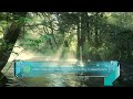 تحميل فيديو نهر يتدفق في غابة بين الأشجار الخضراء (بدون حقوق) 4K