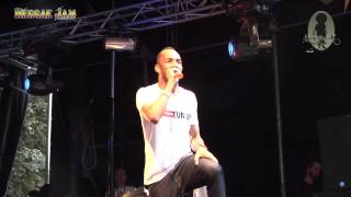 Cham @ ReggaeJam 2012