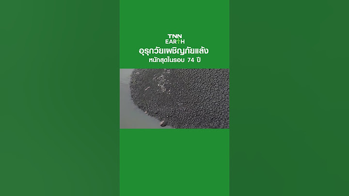 อุรุกวัยเผชิญภัยแล้งหนักสุดในรอบ 74 ปี | TNN EARTH | 24-05-23