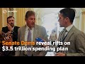 Senate Democrats reveal rifts on $3.5 trillion spending plan