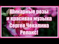 Для вас, мои друзья, шикарные розы и красивая музыка Сергея Чекалина! Супер релакс!