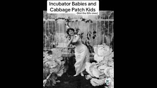 The cabbage, patch kids, and the incubator babies. The true history of Of America will blow ur mind