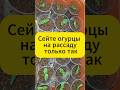 Теперь рассаду сажаю только так! #огород #дача #рассада #лайфхак