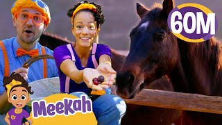 Blippi & Meekah Visit A Farm! | Educational Videos for Kids | Blippi and Meekah Kids TV screenshot 5