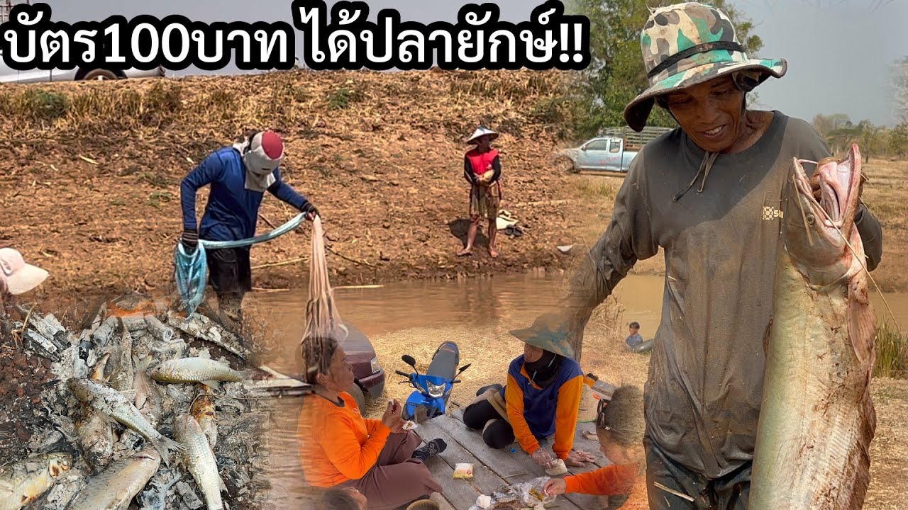 โอ้โห ไม่คิดว่า ปลาใหญ่จะติดแหแบบง่ายๆ บัตรละ100บาท บางคนกมานบางคนไม่ได้#ยกาะดุ้ง#หว่านแห่