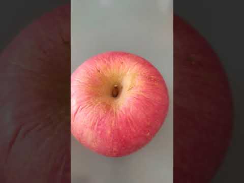 APPLE Shorts Viral Trending Ofwhongkong Mybloopers