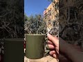 عمرك هيضيع مع الناس الي فهماك غلط الناس الي تشعل مواقف كلها ضدك كنت تفتكرها سند بس طلعو كذابين