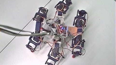 Hexapod : walking robot