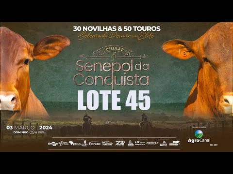 LOTE 45 CONQ 2784