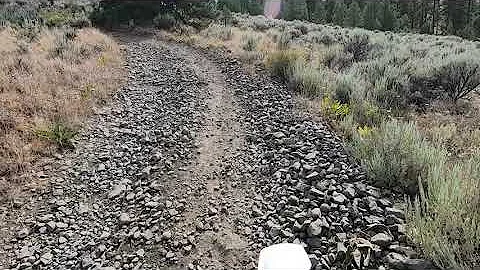 Thats baby head hill August 2020 WABDR Section 2