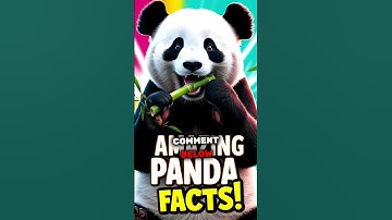 Panda EXPERTS Reveal Surprising Facts You Didn