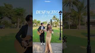 Despacito - Luis Fonsi | Violin Cover by ViolinJina | ไวโอลินงานอีเว้นท์ ไวโอลินงานแต่ง
