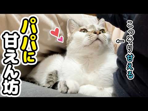 ママに隠れて甘えん坊！？いつもパパには塩対応の愛猫が豹変した日
