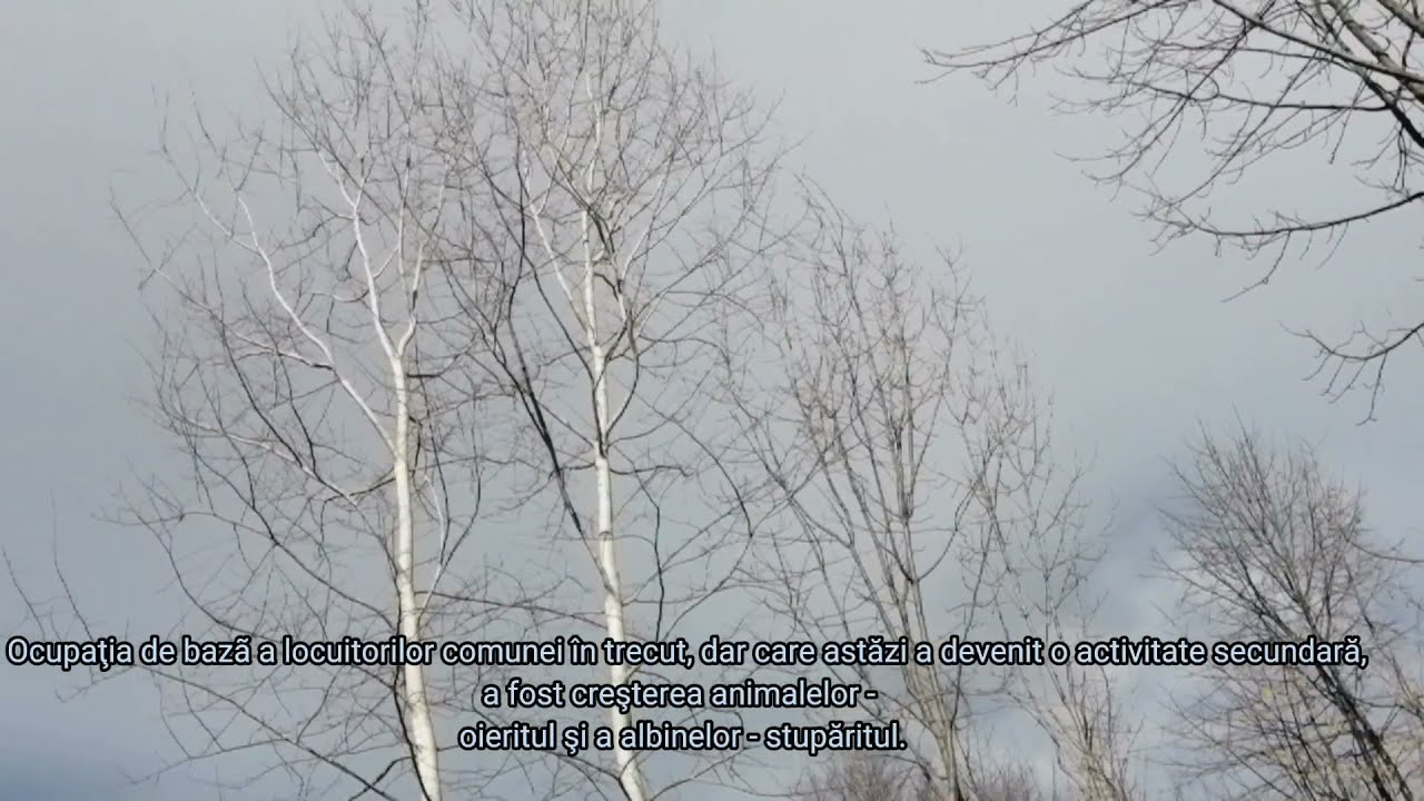 Comuna Aluniş, județul Prahova!