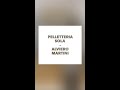 COLLEZIONE AI20 ALVIERO MARTINI - PELLETTERIA SOLA