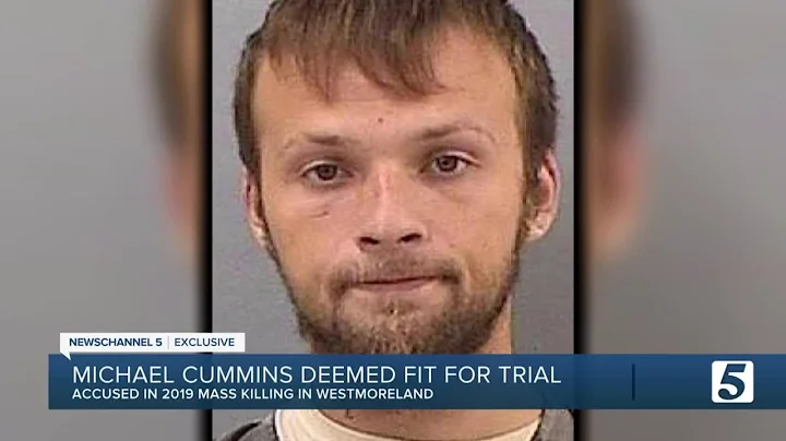 Michael Cummins deemed fit to stand trial in 2019 ...