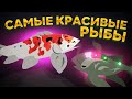 Cat Goes Fishing. ЭТИ РЫБЫ ВАС УДИВЯТ! (САМЫЕ КРАСИВЫЕ РЫБЫ В ИГРЕ)