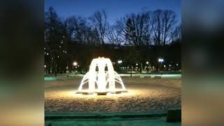 InShot 20190118 212729520